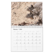 リス及びシマリス カレンダー (2月 2026)