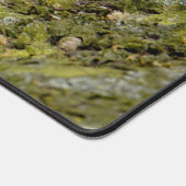 リス吹ルの泡の動物の写真 デスクマット (コーナー)