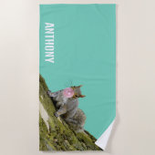 リス吹ルの泡の動物の写真 ビーチタオル (正面)