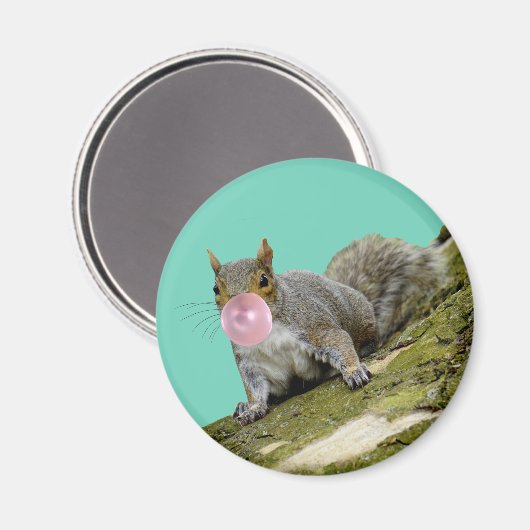 リス吹ルの泡の動物の写真 マグネット (正面/裏面)