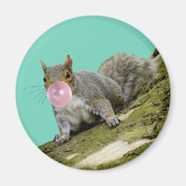 リス吹ルの泡の動物の写真 マグネット