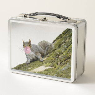 リス吹ルの泡の動物の写真 メタルランチボックス