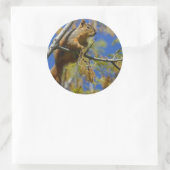 リス大ステッカー ラウンドシール (バッグ)