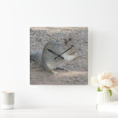 リス好きの写真愛らしい灰色の森の動物 スクエア壁時計 (ホーム)