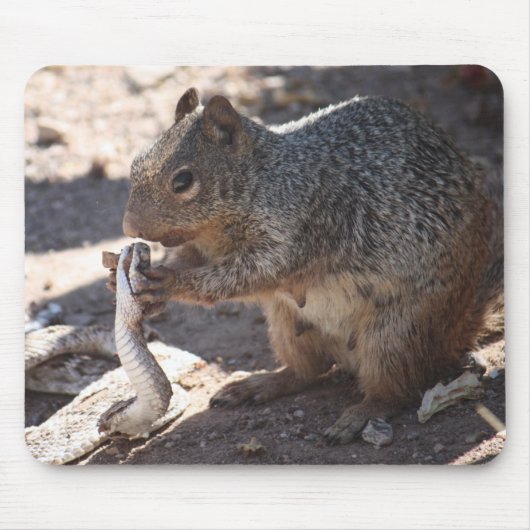 リス対ガラガラヘビのマウスパッド マウスパッド (正面)