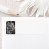 リス差出人住所ラベル ラベル (インサイチュ)