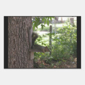 リス巻き紙シート ラッピングペーパーシート (正面3)