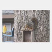 リス巻き紙シート ラッピングペーパーシート (正面2)