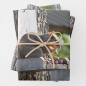 リス巻き紙シート ラッピングペーパーシート (インサイチュ)