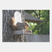 リス巻き紙フラットシートセット3 ラッピングペーパーシート (正面3)