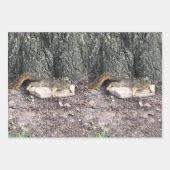 リス巻き紙フラットシートセット3 ラッピングペーパーシート (正面2)