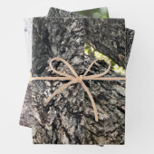 リス巻き紙フラットシートセット3 ラッピングペーパーシート (インサイチュ)