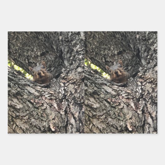 リス巻き紙フラットシートセット3 ラッピングペーパーシート (正面)