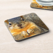 リス愛_ コースター (左側)