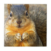 リス愛_ タイル (正面)