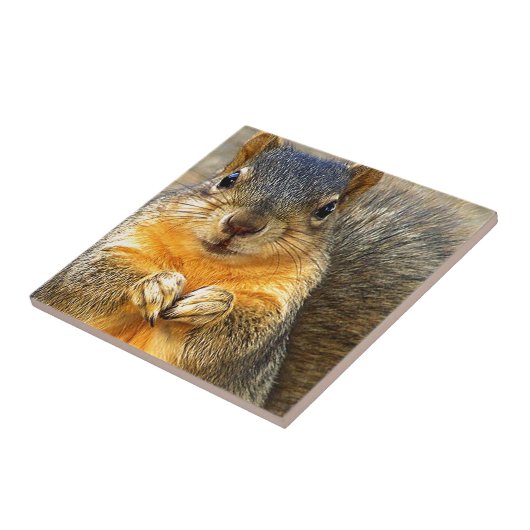 リス愛_ タイル (側面)