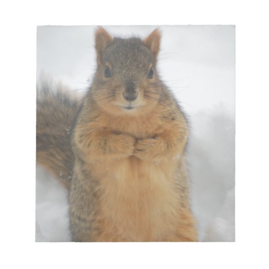 リス愛 ノートパッド (正面)