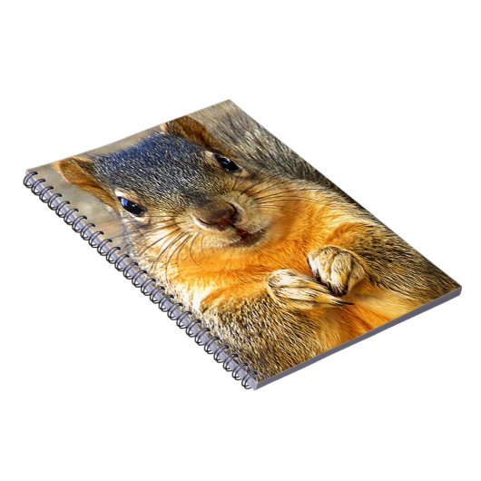 リス愛_ ノートブック (右側)