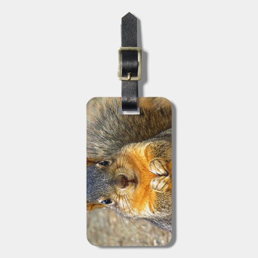 リス愛_ ラゲッジタグ (正面縦)