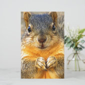 リス愛_ 便箋 (スタンド正面)