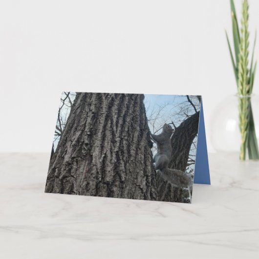 リス折りグリーティングカード。カード カード (正面)