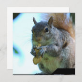 リス招待状 招待状 (正面/裏面)