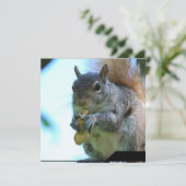 リス招待状 招待状 (スタンド正面)