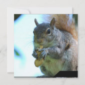 リス招待状 招待状 (正面)