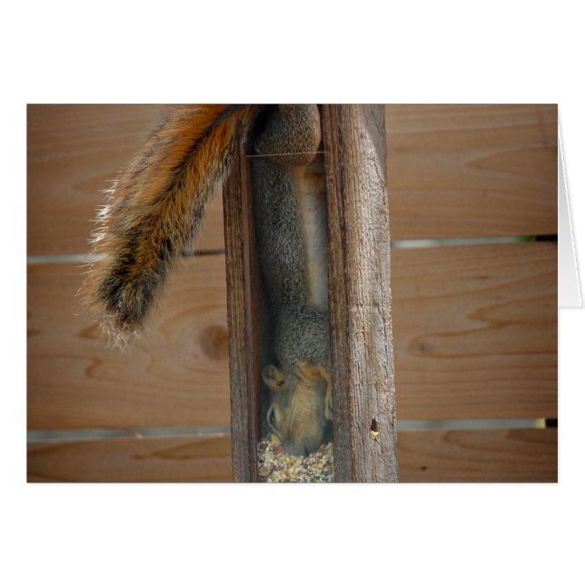 リス排鳥機 (正面横)