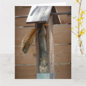 リス排鳥機 カード (黄色い花)