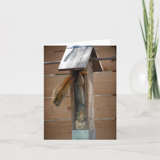 リス排鳥機 カード (正面)