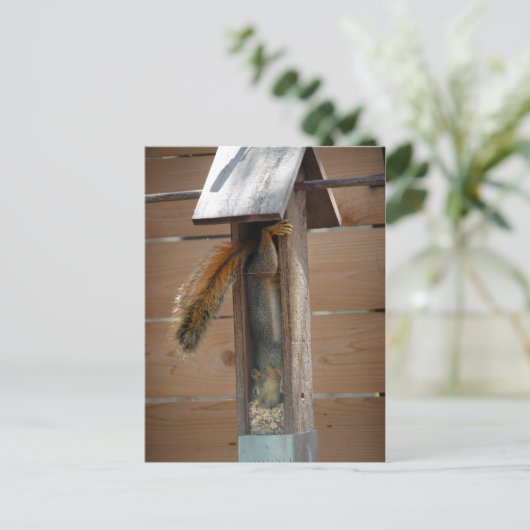 リス排鳥機 ポストカード (スタンド正面)