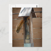 リス排鳥機 ポストカード (正面/裏面)