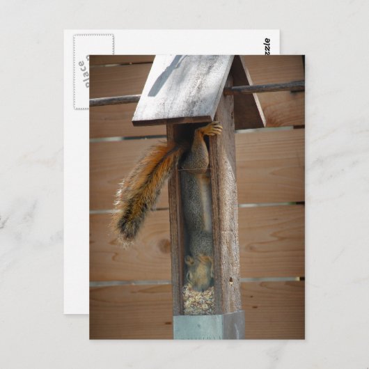 リス排鳥機 ポストカード (正面/裏面)