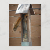 リス排鳥機 ポストカード (正面)