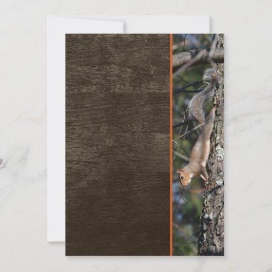 リス族懇親会 招待状 (裏面)