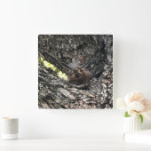 リス時計 スクエア壁時計 (ホーム)