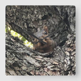 リス時計 スクエア壁時計