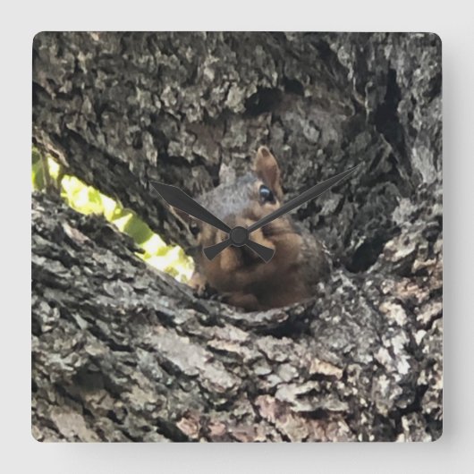 リス時計 スクエア壁時計 (正面)