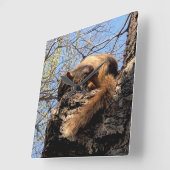 リス時計 スクエア壁時計 (傾斜)