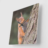 リス時計 スクエア壁時計 (傾斜)