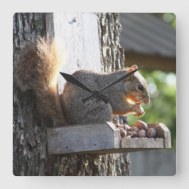 リス時計 スクエア壁時計