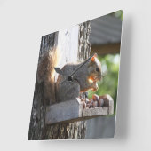 リス時計 スクエア壁時計 (傾斜)