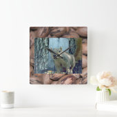 リス時計 スクエア壁時計 (ホーム)