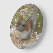 リス時計 ラージ壁時計 (傾斜)