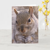 リス札カード カード (黄色い花)
