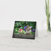 リス札カード カード (正面)