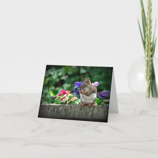 リス札カード カード (正面)