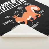 リス構造 シェルパブランケット (3/4)