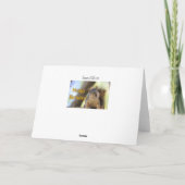 リス氏のハッピーバースデー カード (裏面)